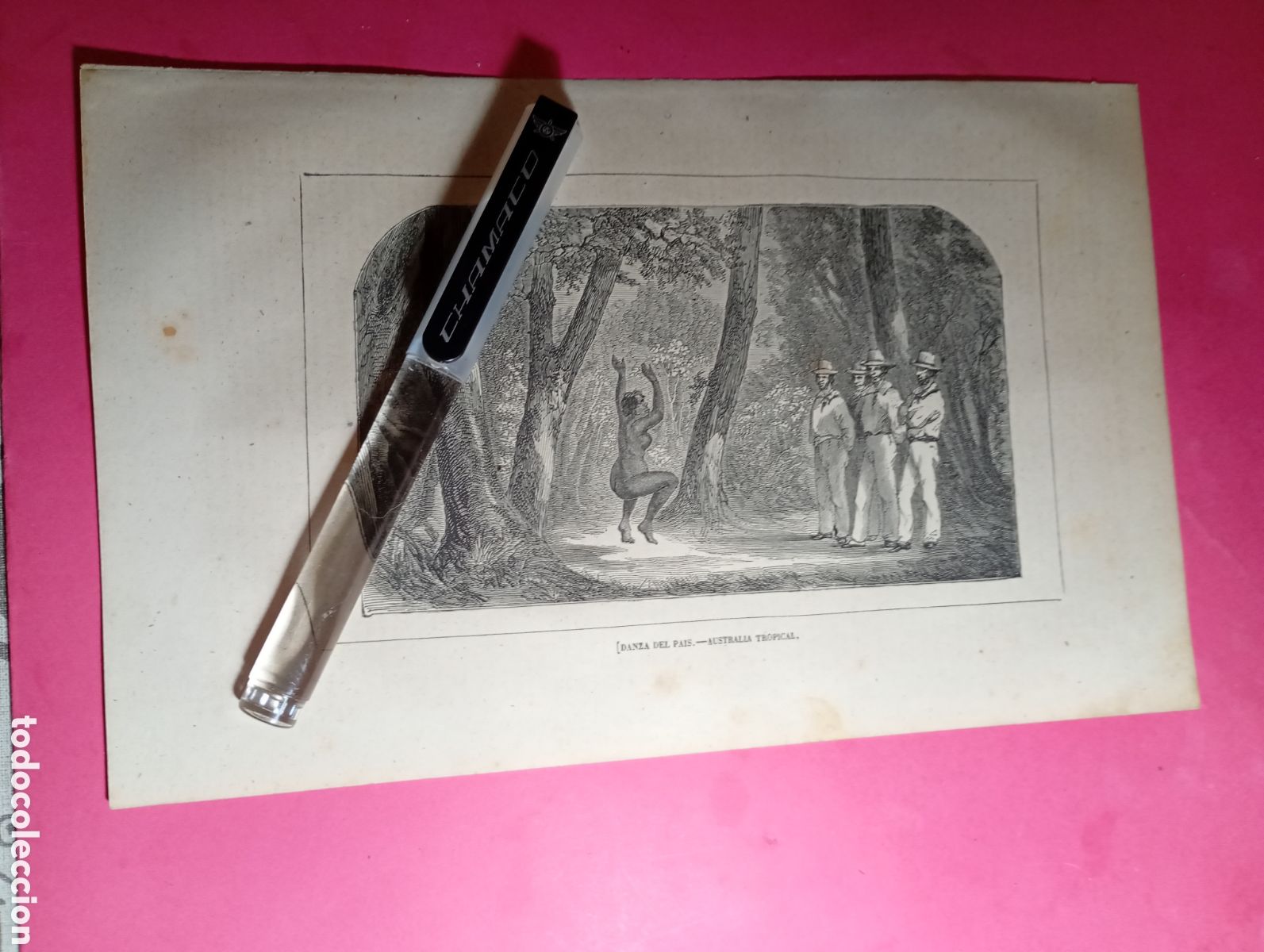 Arte: AUSTRALIA TROPICAL ANTIGUO GRABADO XIX O PRINCIPIO XX ''danza del pa&iacute;s''