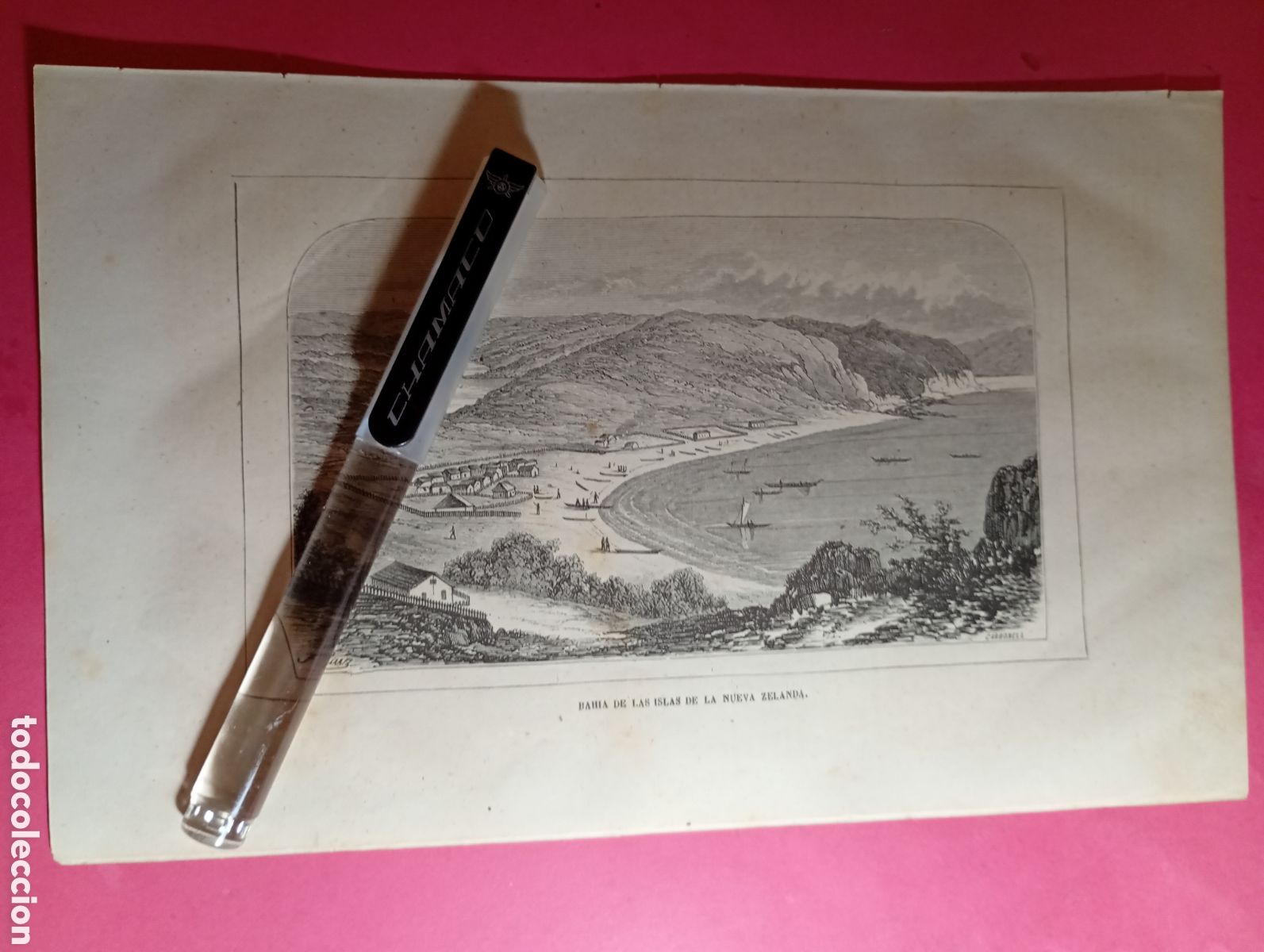 Arte: NUEVA ZELANDA ANTIGUO GRABADO S. XIX PRINCIPIO XX LA BAH&Iacute;A DE LAS ISLAS