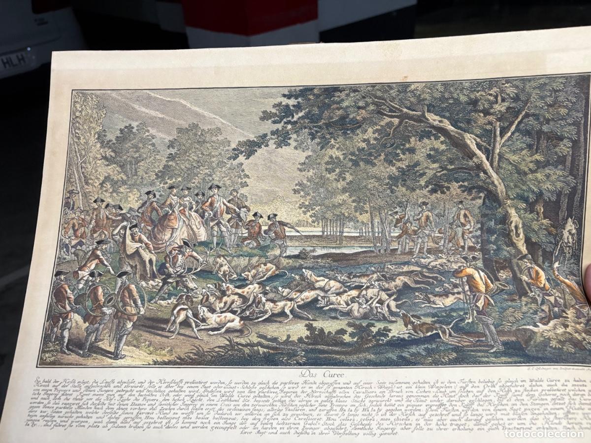 Arte: Grabado coloreado a mano 1756 J. C. Ridinger titulado Das Cur&eacute;e