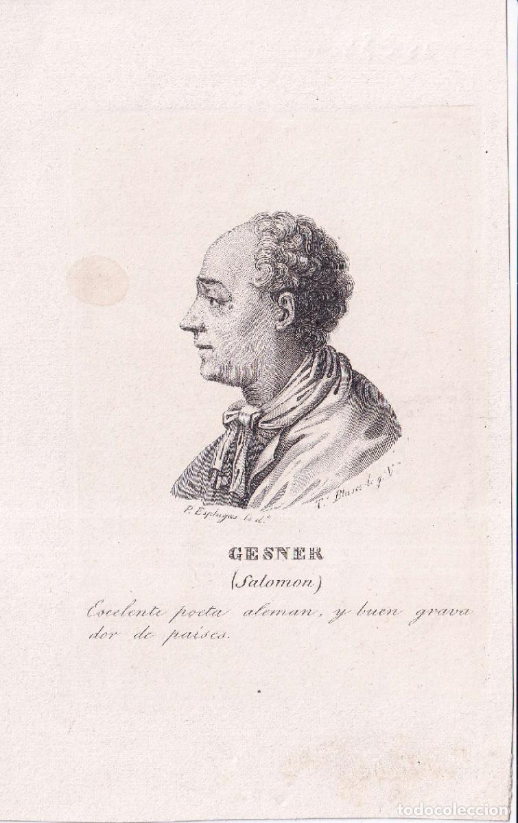 Arte: GRABADO GESNER (c.1850) - Foto 1