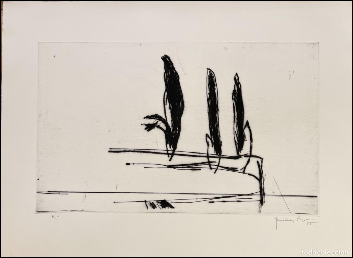 Arte: JOAN HERN&Aacute;NDEZ PIJUAN - PAISATGE AMB XIPRERS VI, AGUAFUERTE Y AGUATINTA - 1985