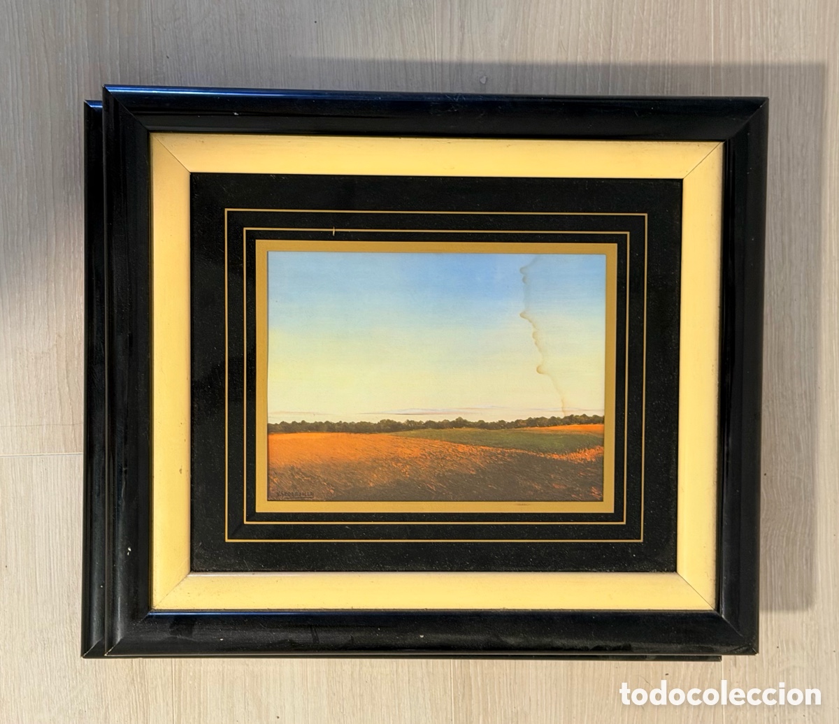 Arte: Paisaje Art&iacute;stico Enmarcado