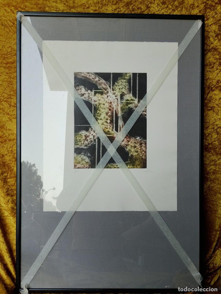 Arte: Magn&iacute;fico grabado de Pilar Pel&aacute;ez (25/39) enmarcado con cristal: 62x92cms.por apenas sesenta euros