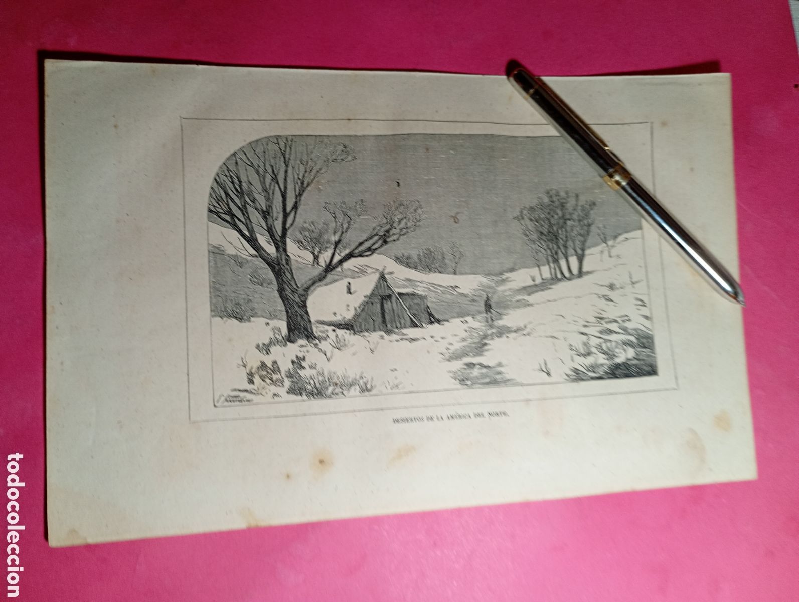 Arte: ANTIGUO GRABADO B/N DESIERTOS EN LA AM&Eacute;RICA DEL NORTE