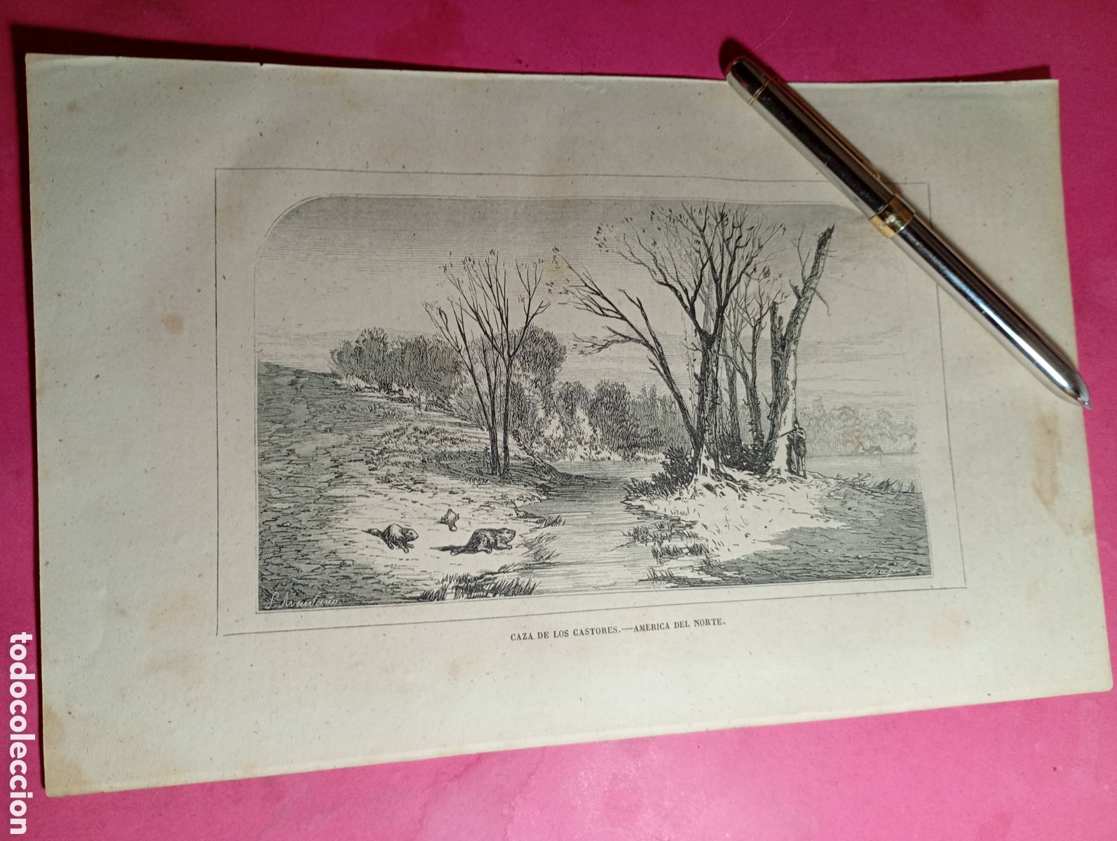 Arte: ANTIGUO GRABADO B/N CAZA DE LOS CASTORES EN AM&Eacute;RICA DEL NORTE