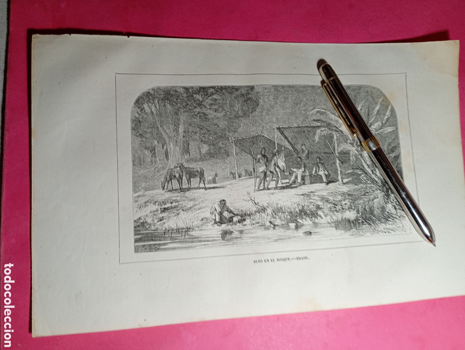 Arte: ANTIGUO GRABADO B/N ALTO EN EL VIAJE (BRASIL)