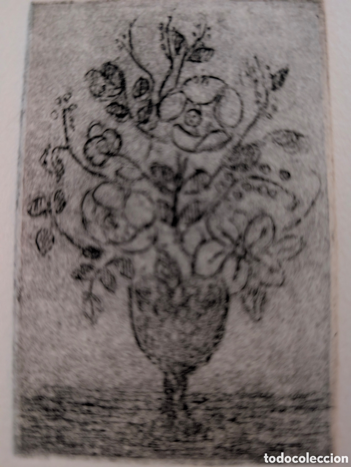 Arte: Grabado de Concha Iba&ntilde;ez - Foto 4