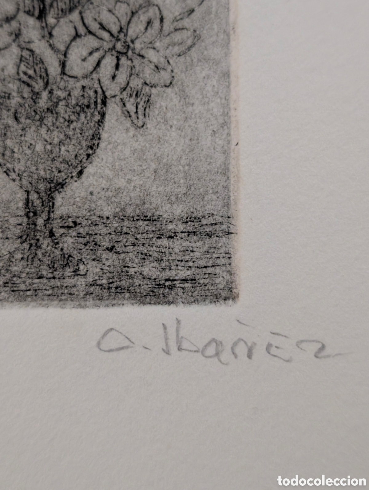 Arte: Grabado de Concha Iba&ntilde;ez - Foto 5