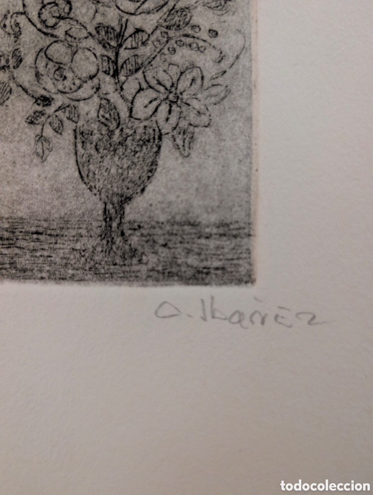 Arte: Grabado de Concha Iba&ntilde;ez - Foto 6
