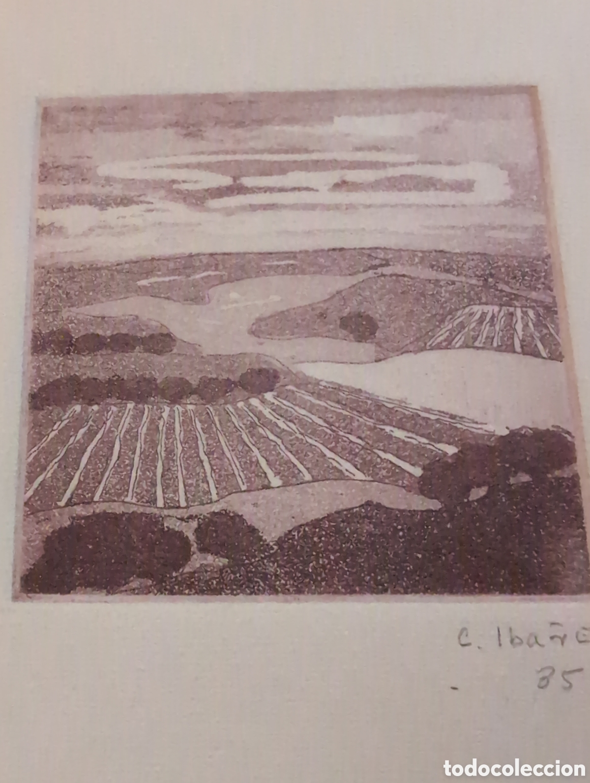 Arte: Concha Iba&ntilde;ez Grabado - Foto 4