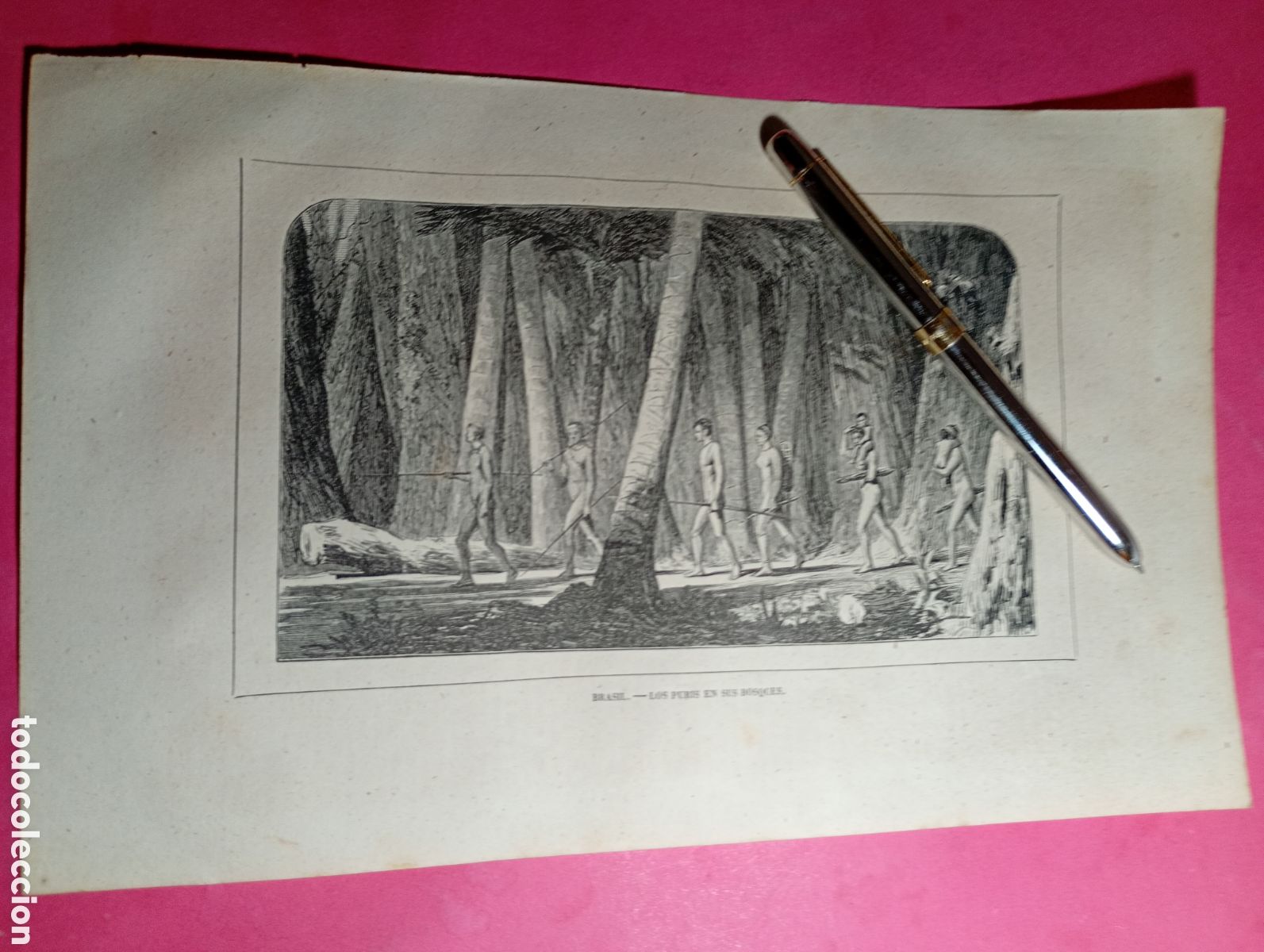Arte: ANTIGUO GRABADO B/N BRASIL LOS PUGIES (&iquest;BURGIES?) EN SUS BOSQUES