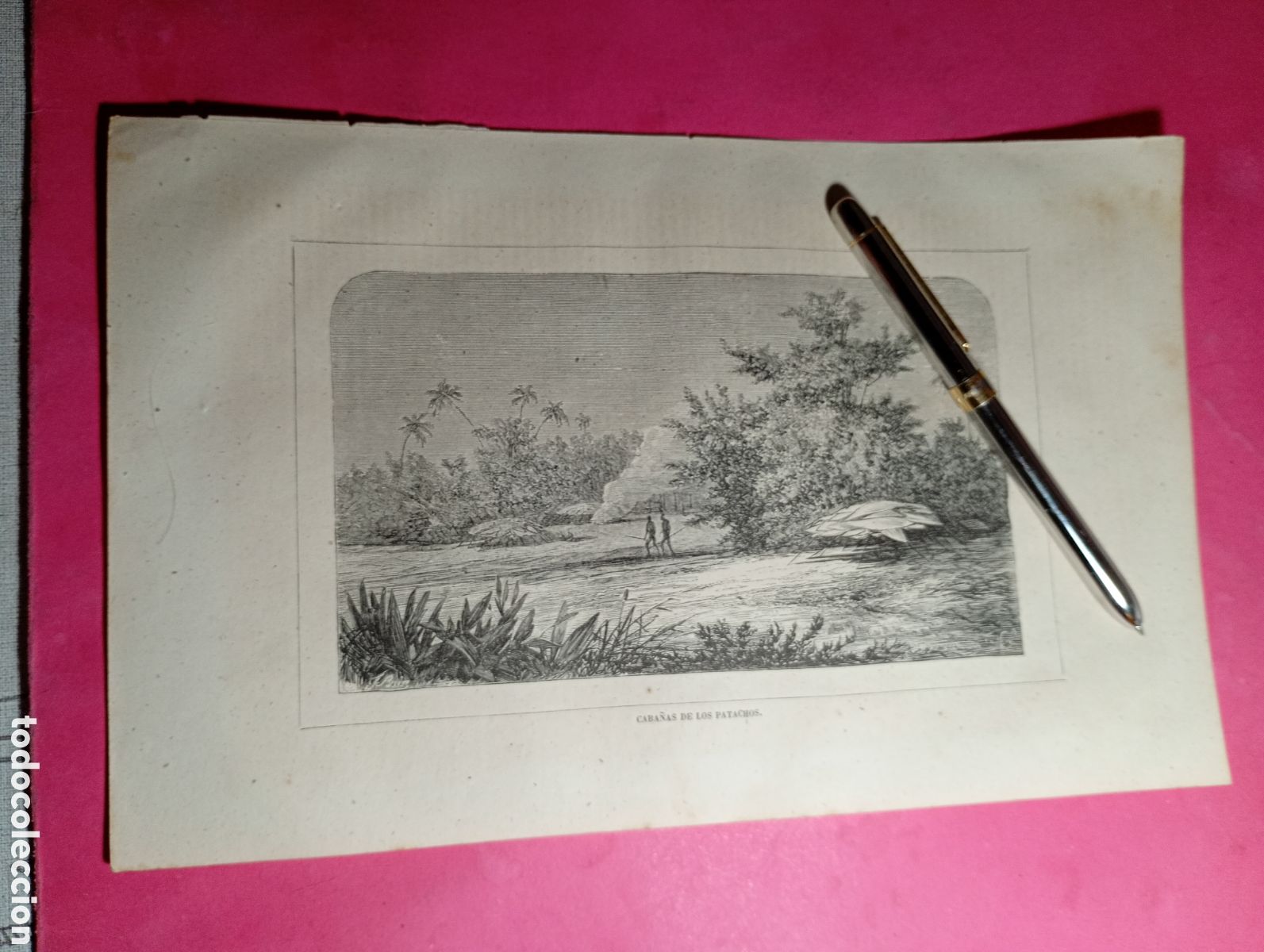Arte: VINTAGE GRABADO B/N CABA&Ntilde;AS DE LOS PANTANOS