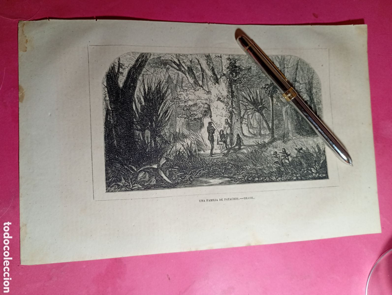 Arte: VINTAGE GRABADO B/N UNA FAMILIA DE PATAGONES - BRASI