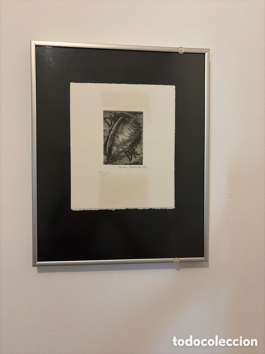 Arte: Caracola de Juan Lacomba 1987