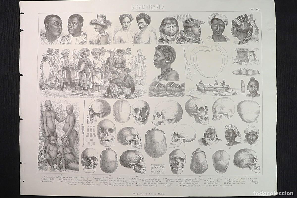 Arte: Grabado Etnograf&iacute;a 40. Cr&aacute;neos, Indiano Goajiro,Aturo, Tha&iuml;, Man-tse. Ethnographic Print 40. Skulls.