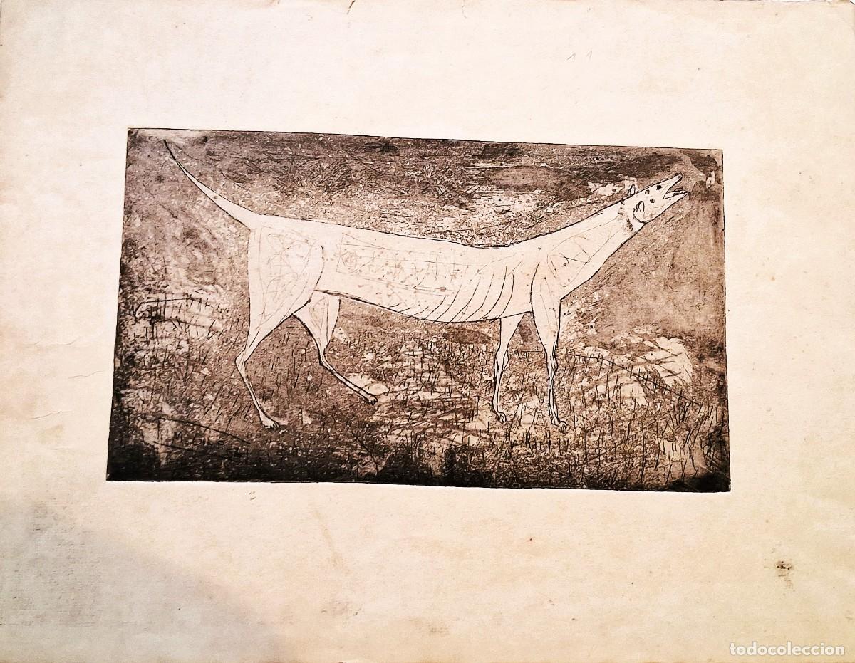 Arte: MANOLO GIL P&Eacute;REZ (VALENCIA,1925-1957) &rdquo;PERRO&rdquo; GRABADO (HUELLA 31.5 x 18.5) PLANCHA 45.5 x 35 (1954)