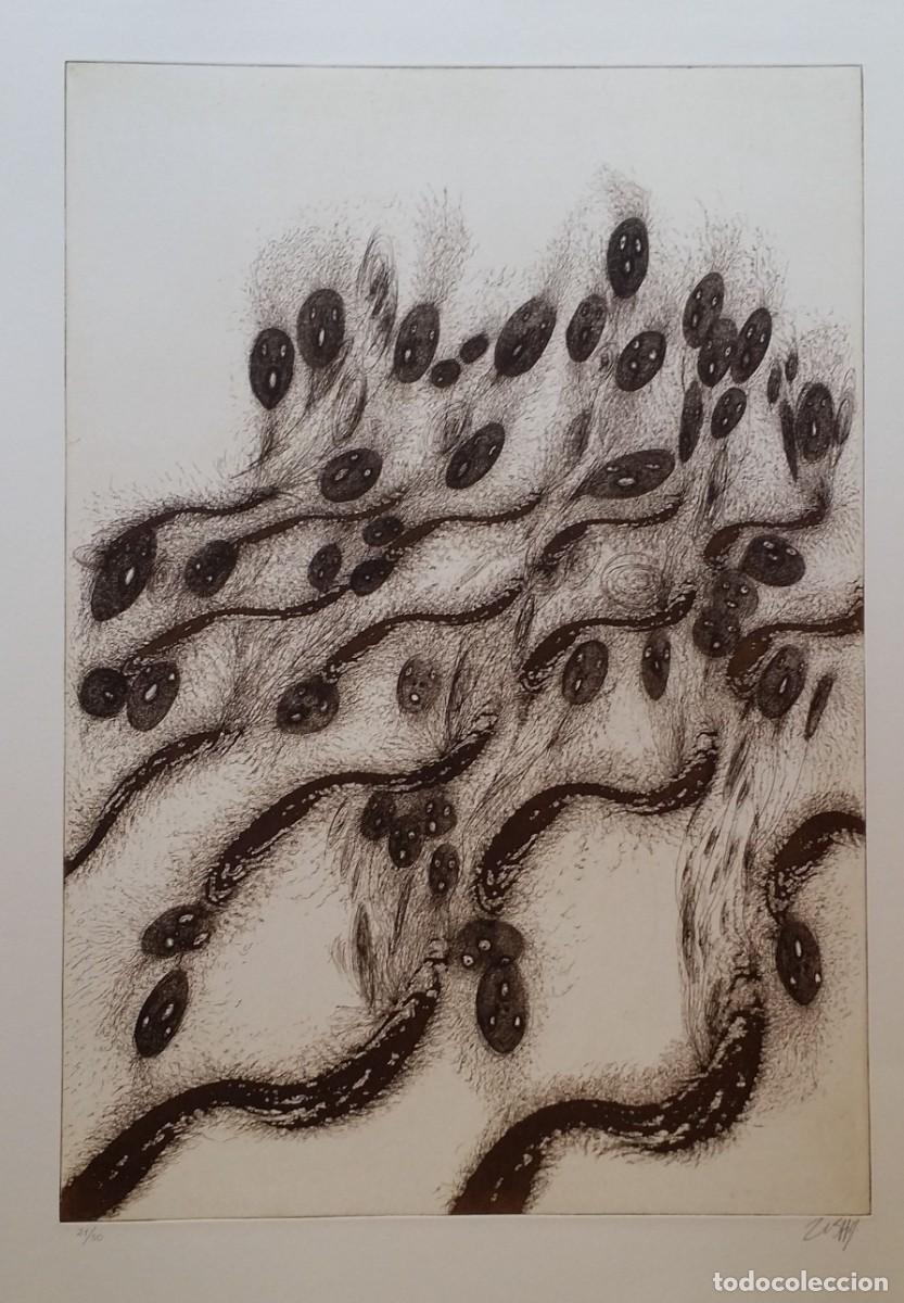 Arte: Evru, Zush, Alberto Porta: Vovlusos, Firmado a mano, 1996