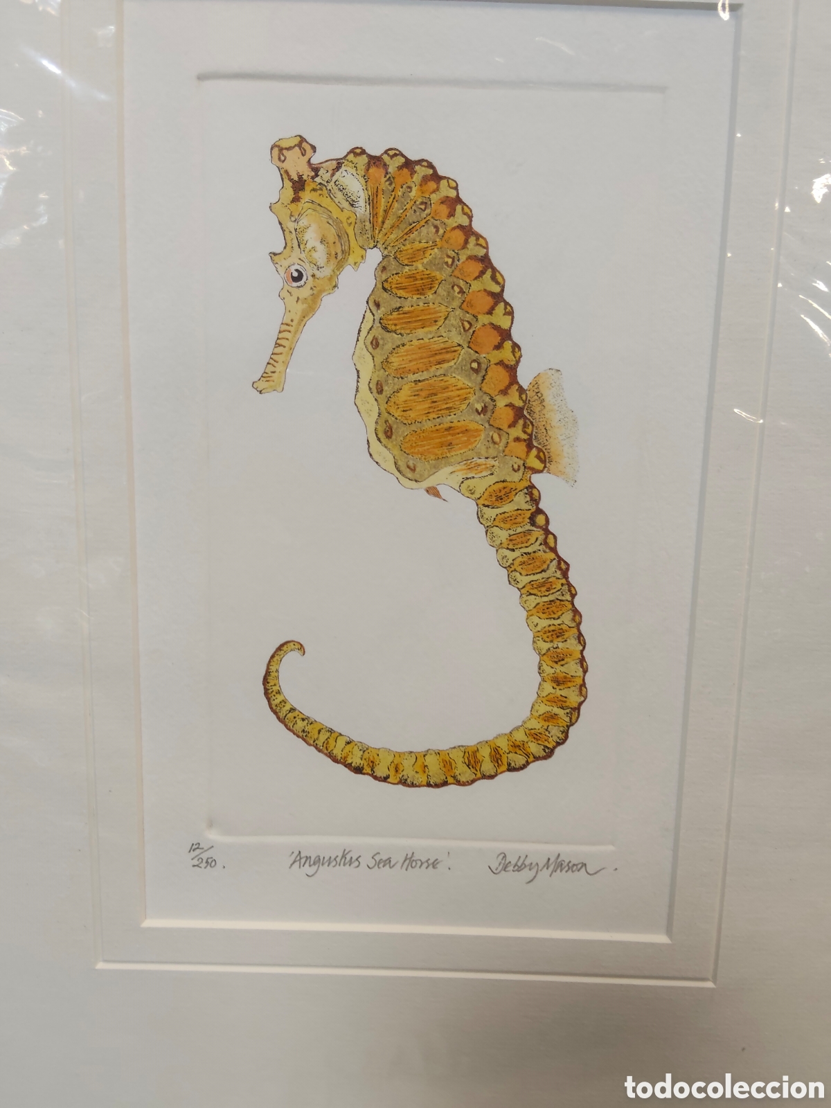 Arte: Angustus Sea Horse'&rdquo; y firmado por la artista Debby Mason