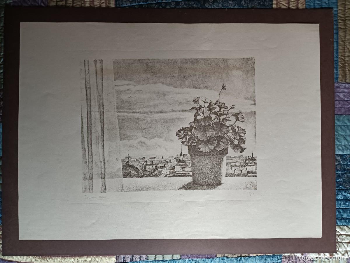 Arte: Esperanza Nuere (Bilbao, 1935) grabado 34x44 papel 54x76 trasera 81x83cms, firmada y 81/100. No est&aacute;