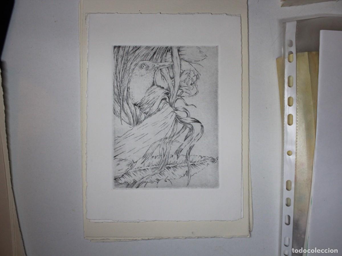 Arte: Prueba de grabado original &ndash; Mirlo &ndash; Laura Sotelo Ayuso &ndash; obra gr&aacute;fica