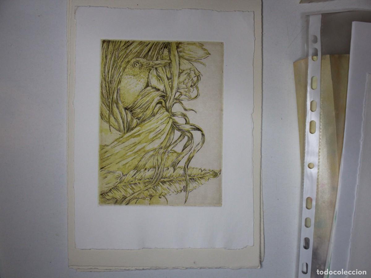 Arte: Prueba de grabado original Mirlo &ndash; Laura Sotelo Ayuso &ndash; obra gr&aacute;fica