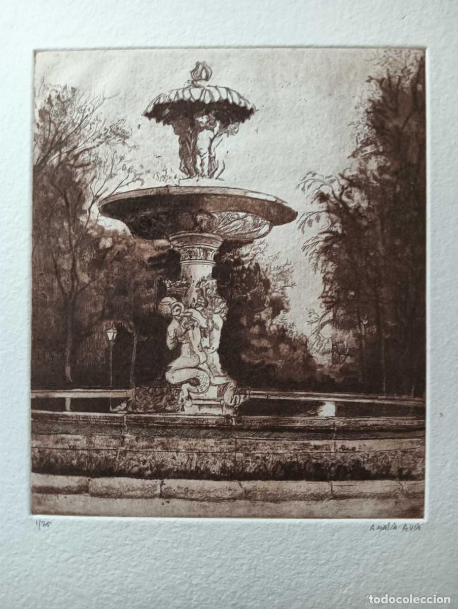 Arte: Amalia Avia (Toledo 1930-Madrid-11) Alcachofa RETIRO graba 30x25 papel 51x42 firma l&aacute;piz y /75 bien