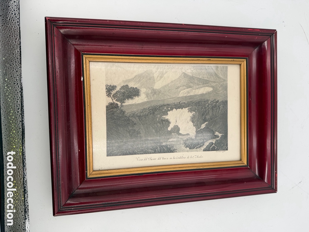 Arte: Antiguo Grabado Enmarcado - Foto 4