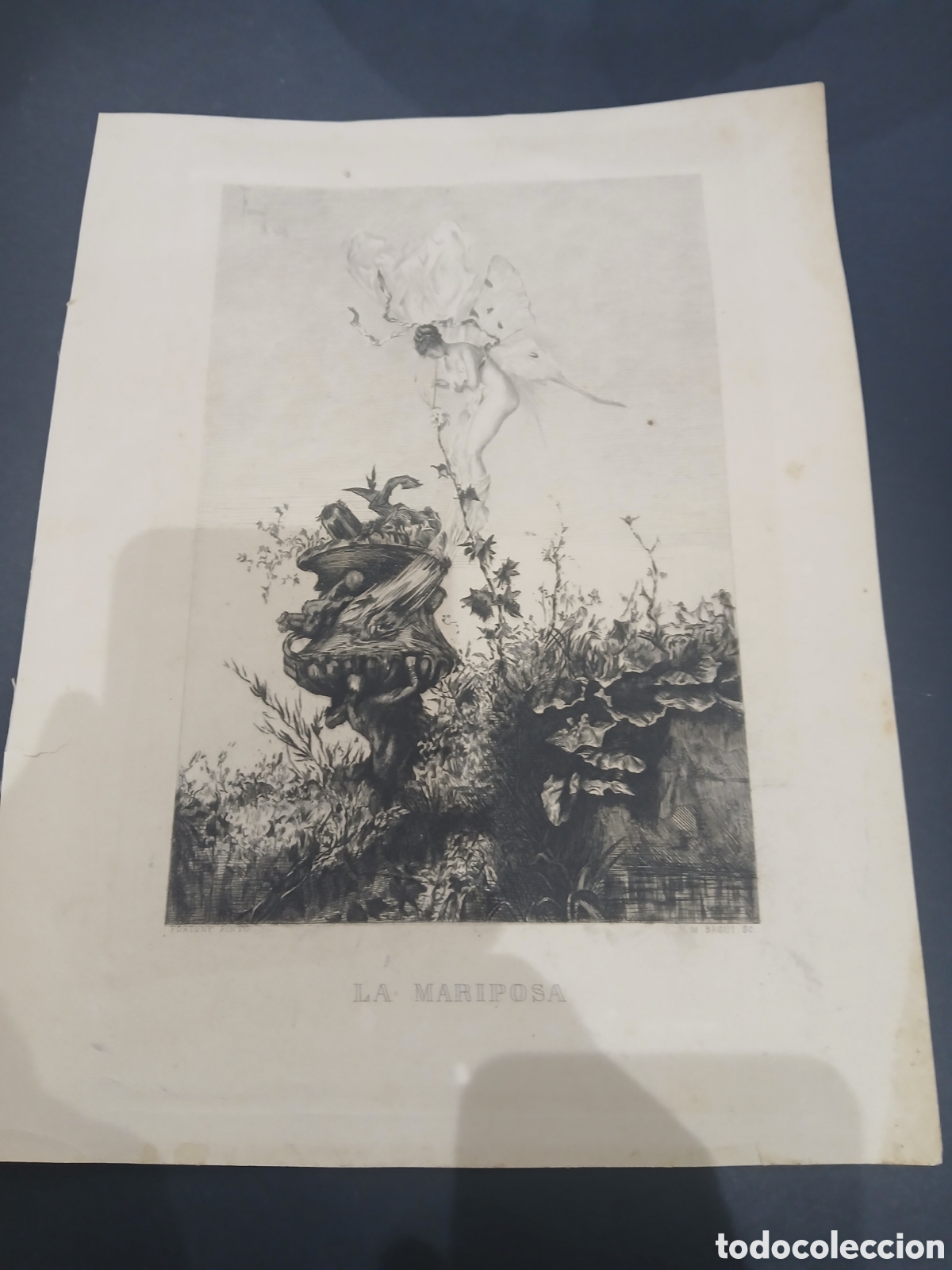 Arte: Grabado del fortuny la mariposa