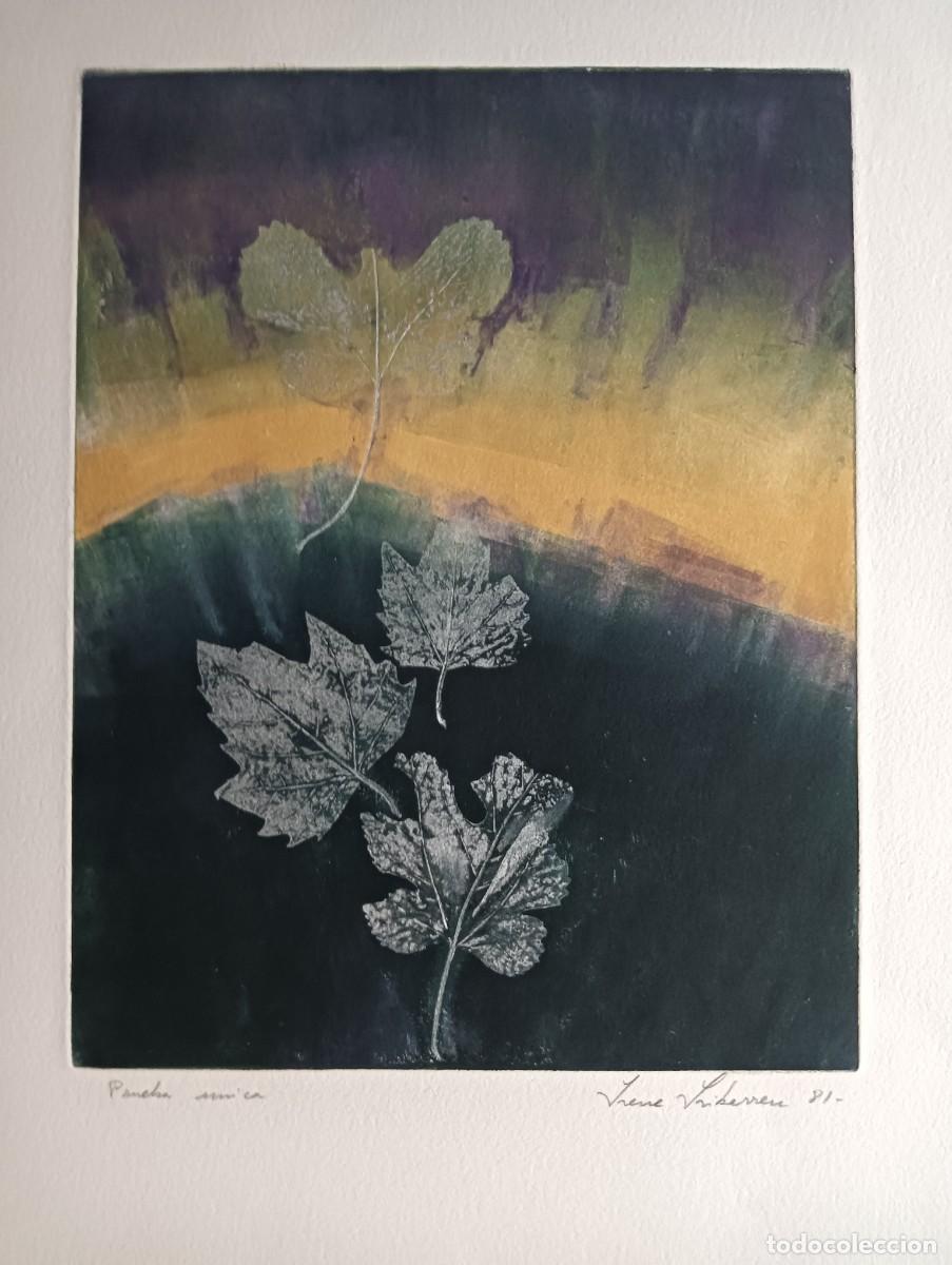 Arte: Irene Iribarren (Valencia 1934-2021) Hojas 1981, grabado 32x25 papel 53x35cms, Prueba &Uacute;nica, firmada