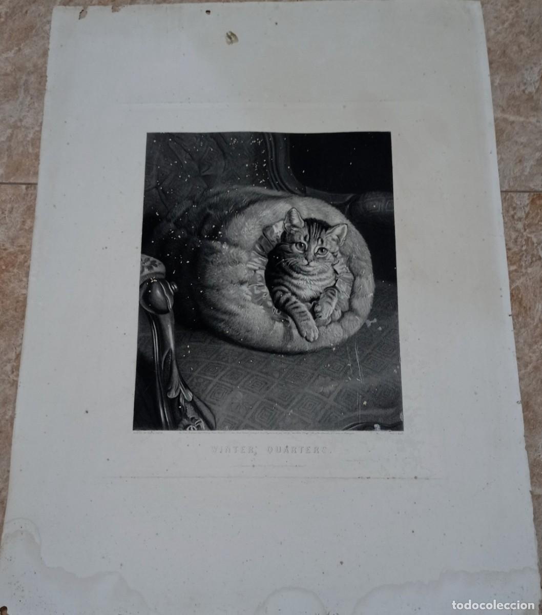 Kunst: GRABADO EN PAPEL PESADO - FRANK PATON - ALFRED CLARENCE - WINTER QUARTERS - 55 X 75 CMS