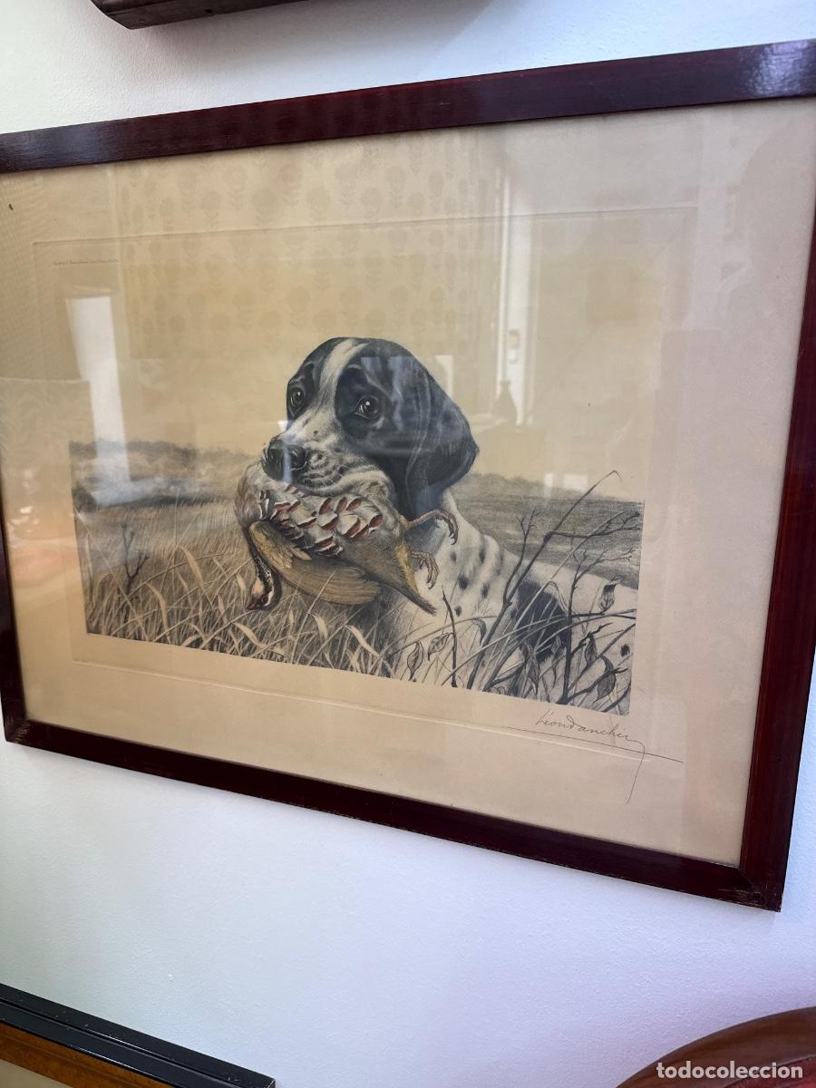 Arte: Le&oacute;n Danchin. Grabado coloreado perro de caza con una perdiz.
