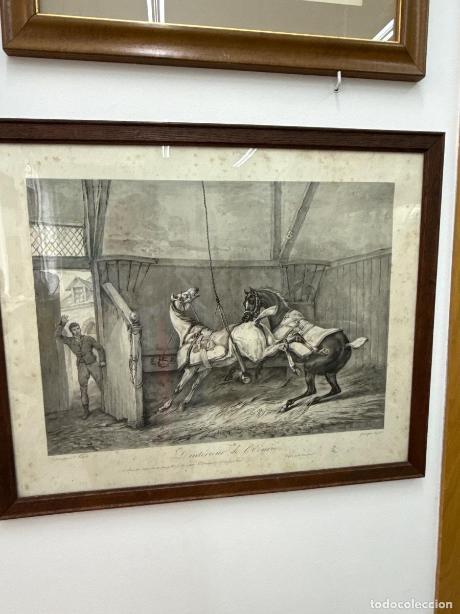 Arte: Pareja de grabados franceses S. XIX de caballos. Enmarcados