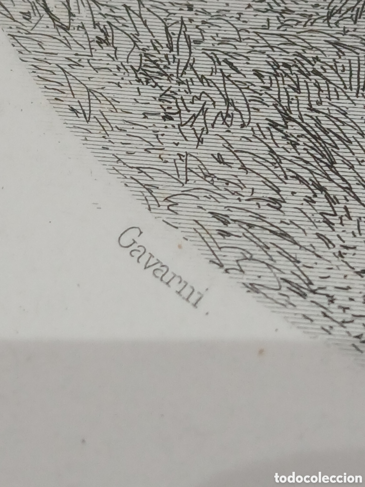 Arte: Grabado antiguo interes - Foto 4