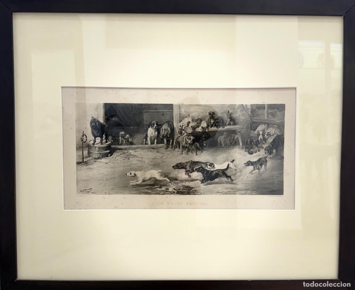 Arte: Grabado ingl&eacute;s siglo XIX carrera de perros enmarcado