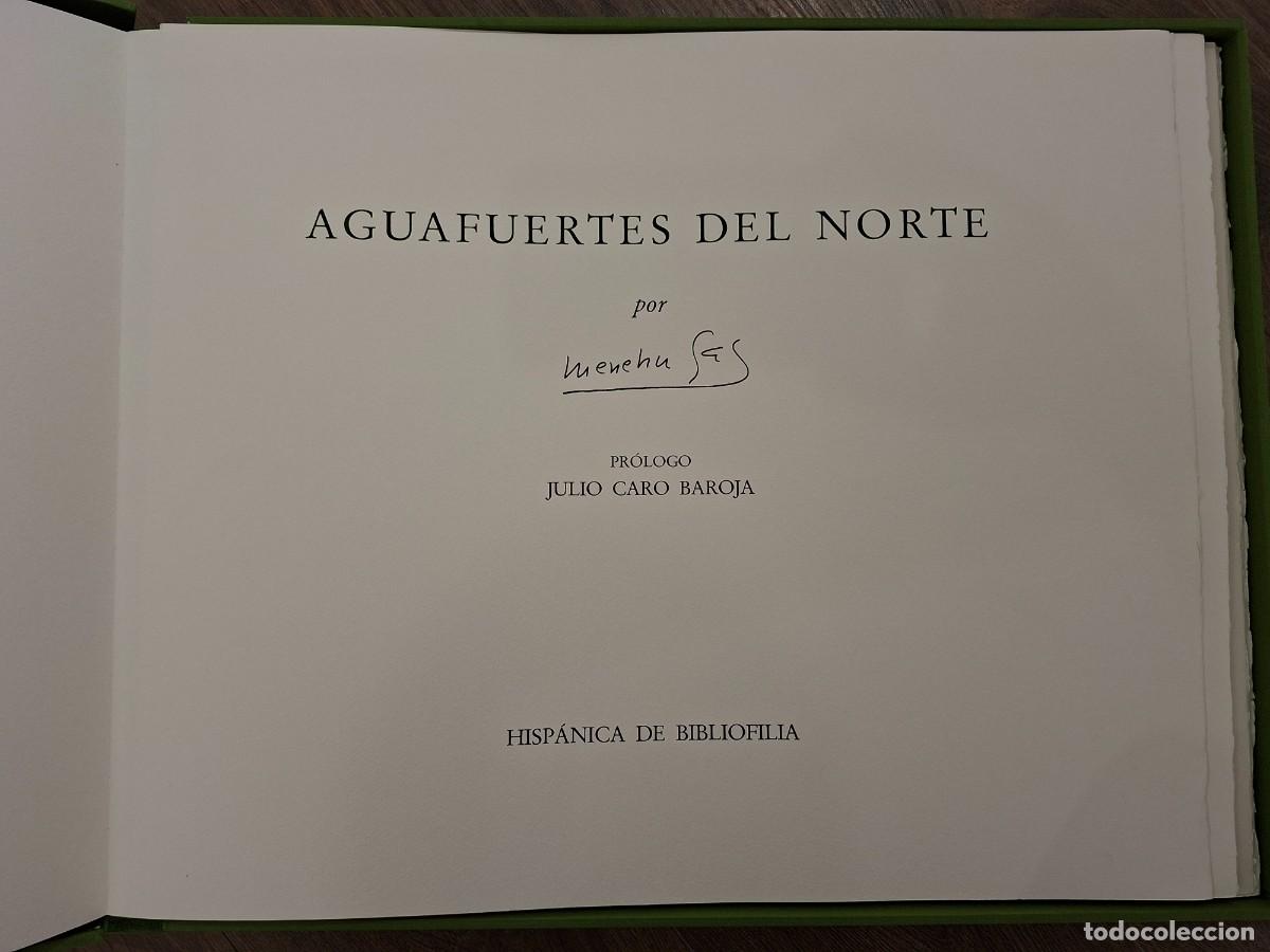 Arte: Aguafuertes Menchu Gal