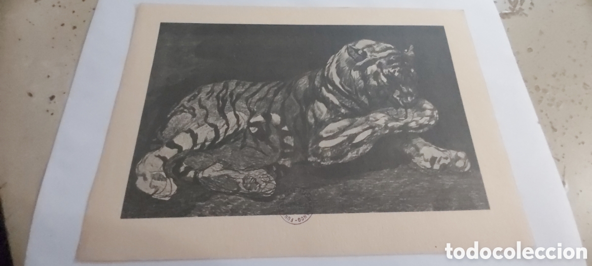 Arte: GRABADO DE PAUL JOUVER. TIGRE. A&Ntilde;OS 1910/20. SELLO FUNDACION FRANCISCO FRANCO