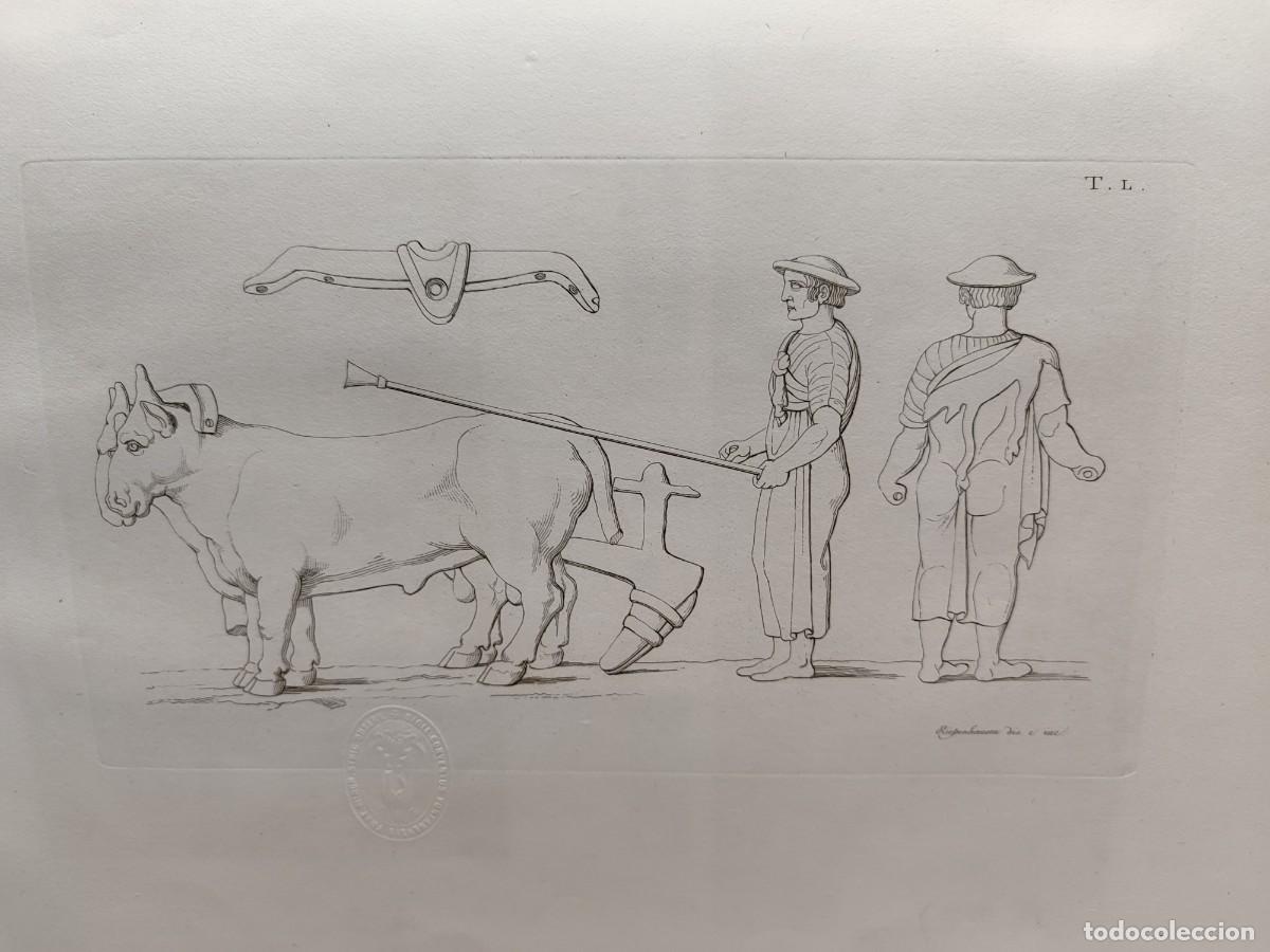Arte: Labrador arando. Antichi monumenti Italia. G. Micali. 1810. Tavole L. Riepenhausen.