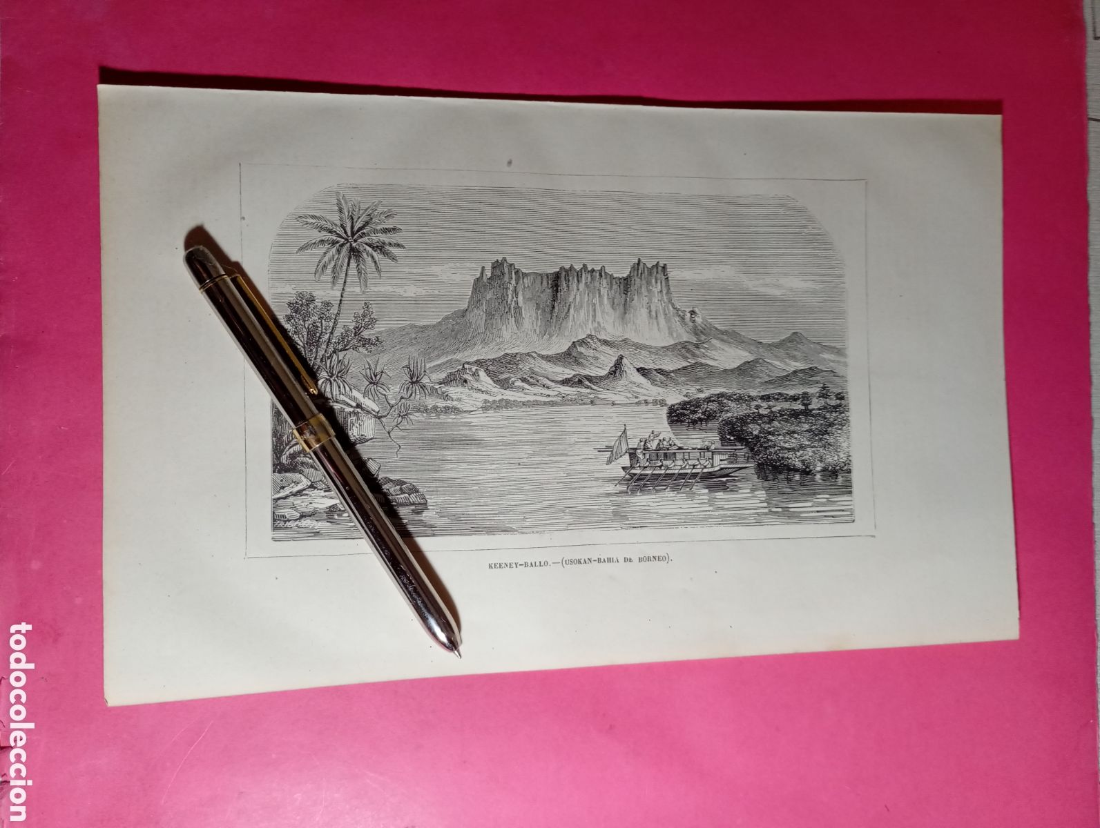 Arte: BORNEO GRAN BAHIA - B/N FIN XIX INICIO XXA