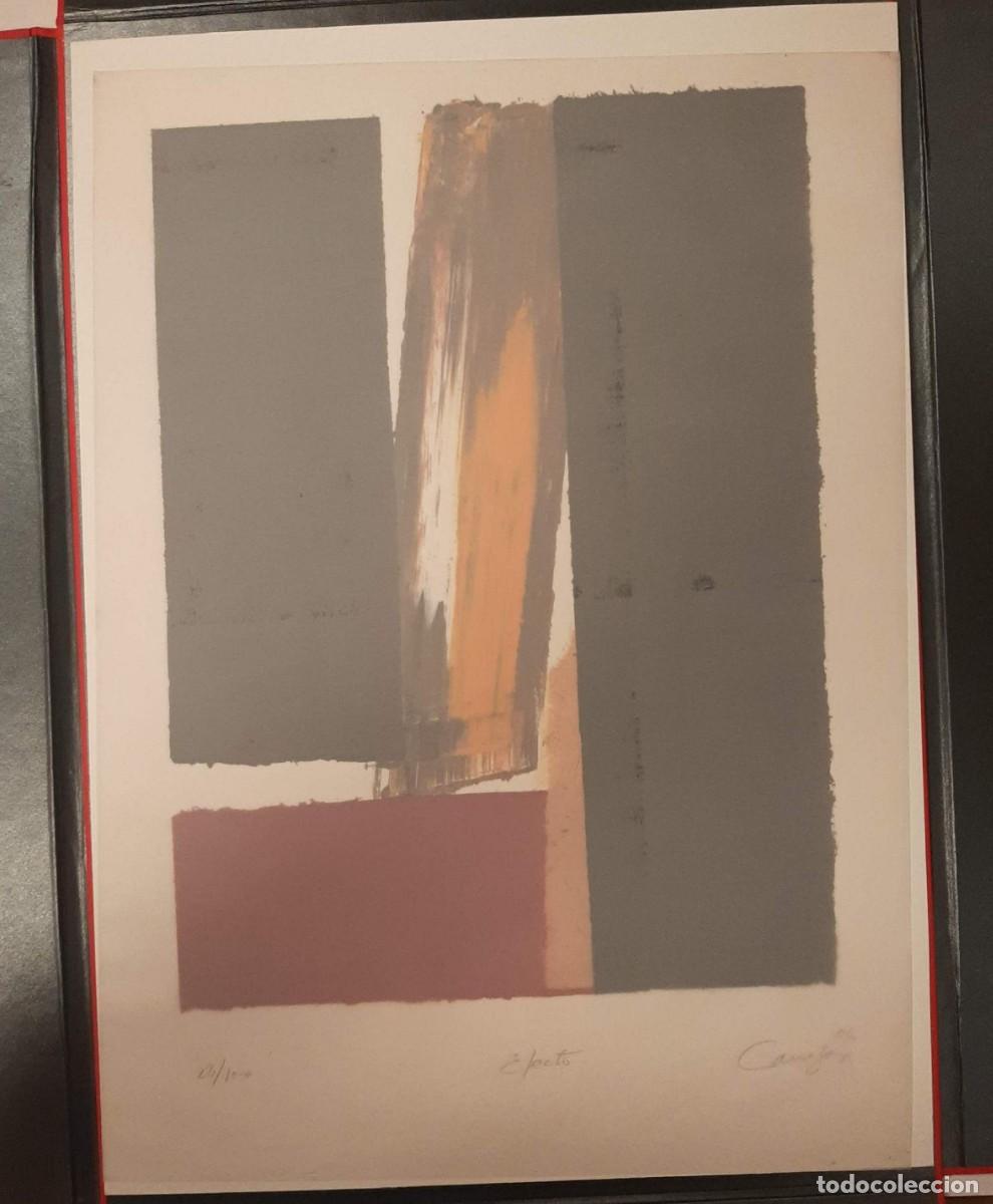 Arte: EFECTO. SERIGRAF&Iacute;A ORIGINAL DE CANOGAR - Foto 1