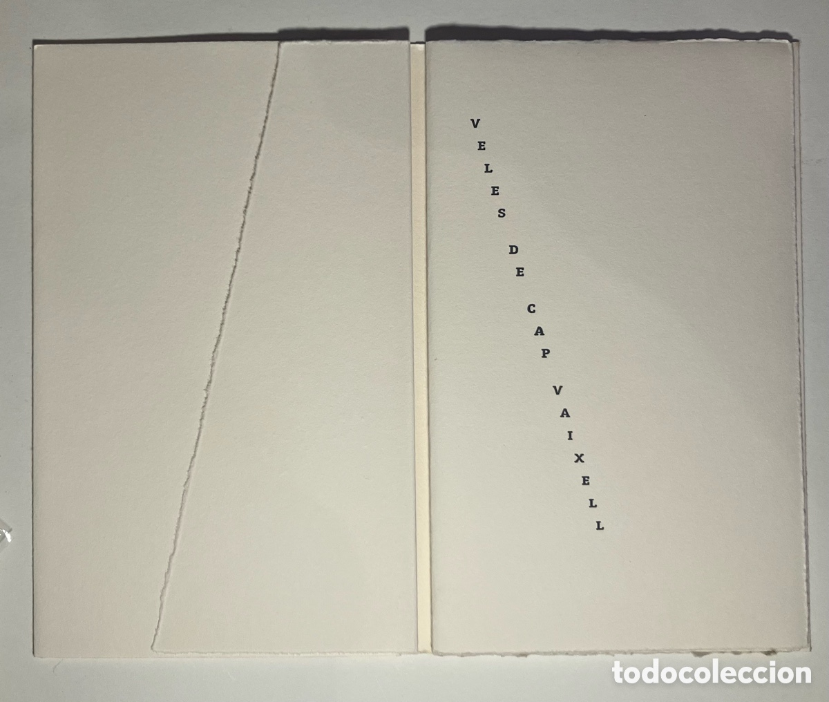 Arte: Veles de Cap Vaixell. Jordi Sarsanedas & Rosa Vives 1998. Libro de Artista