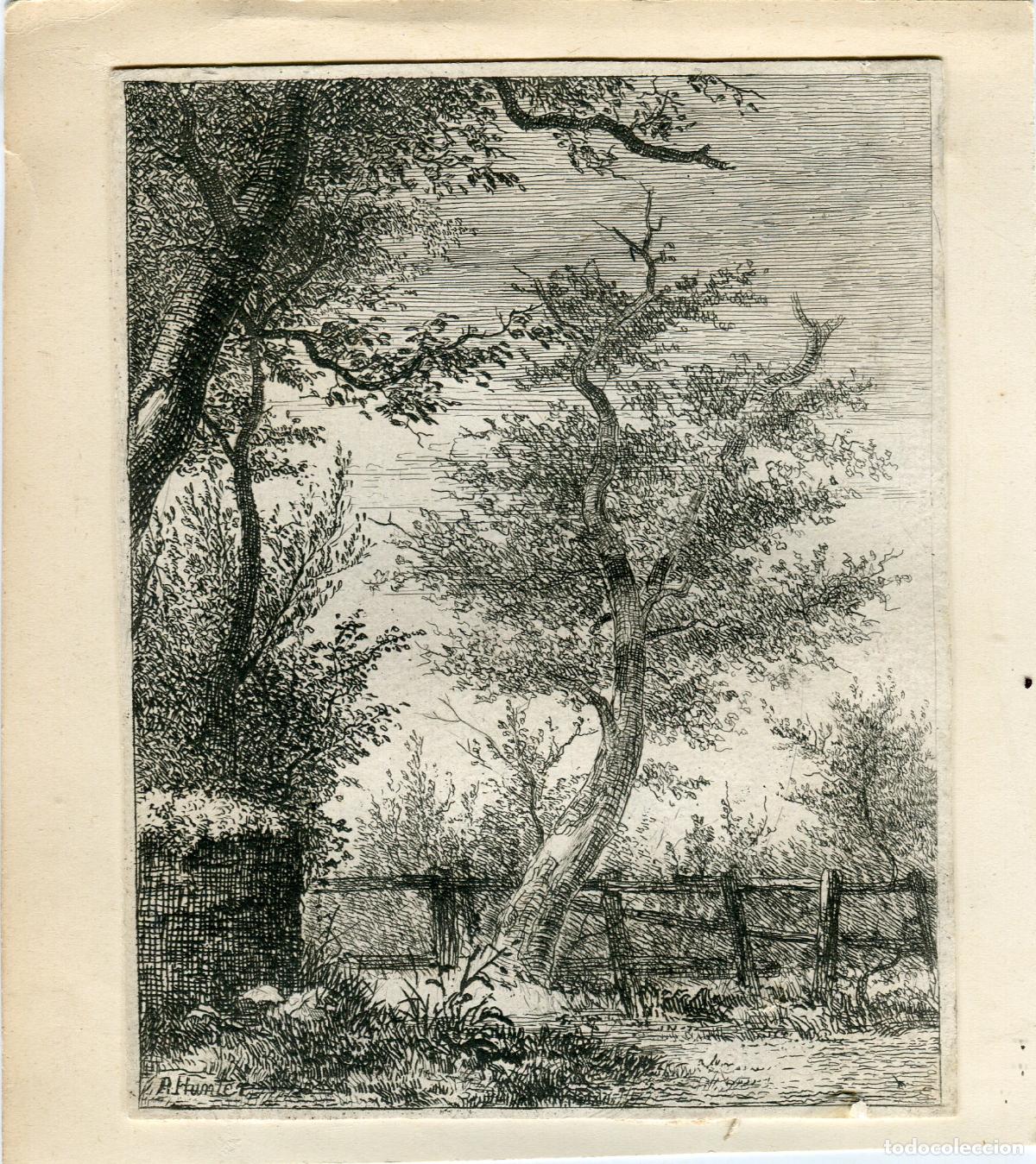 Arte: Arboleda junto a una cerca - Aguafuerte original firmado R. Hunter