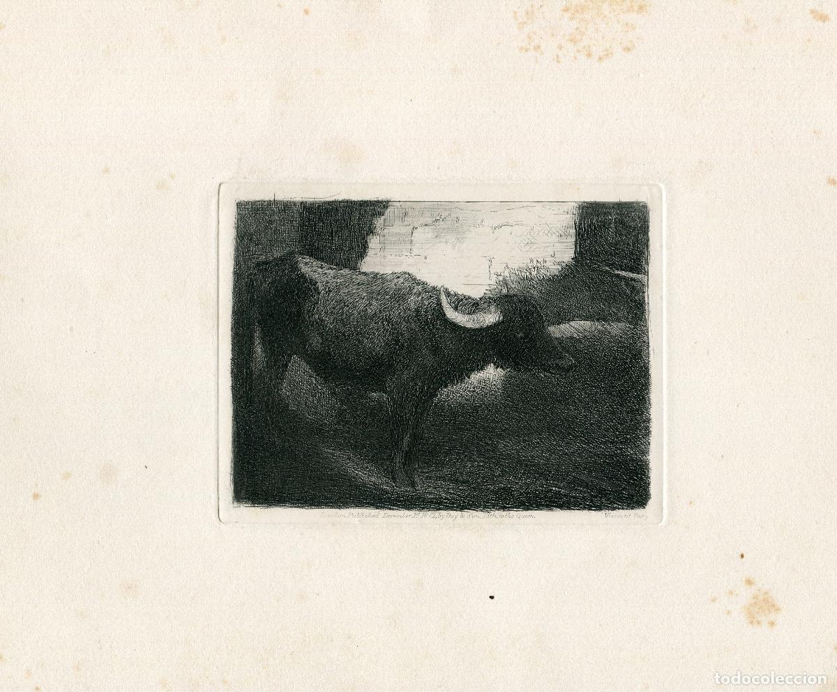 Arte: Estudio de b&uacute;falo - Aguafuerte original de Viscount Bury - Londres 1861