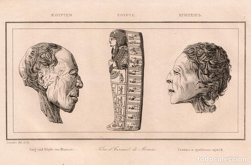 Arte: GRABADO AL ACERO DE 1839, CABEZAS DE MOMIAS Y SARC&Oacute;FAGO, EGIPTOLOG&Iacute;A, ANTIGUO EGIPTO, DE LEMA&Icirc;TRE
