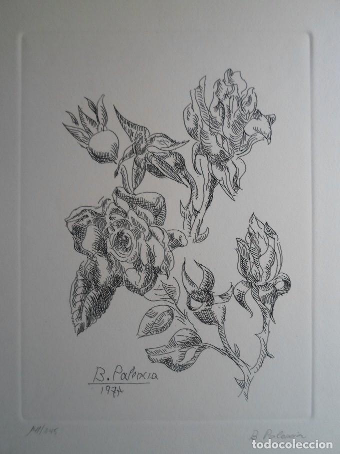Art: Benjam&iacute;n PALENCIA (Albacete 1894-Madrid 1980) grabado 25x32 papel 36x45cms firmado l&aacute;piz y /245 Perf