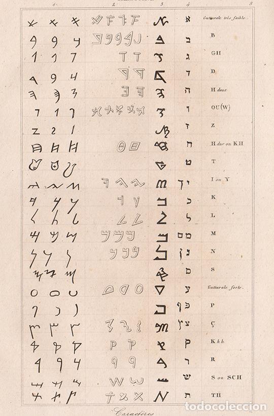 Arte: GRABADO AL ACERO DE 1845, ESQUEMA DE ESCRITURA COMPARADA (FENICIA, HEBREA, SAMARITANA), DE LEMA&Icirc;TRE