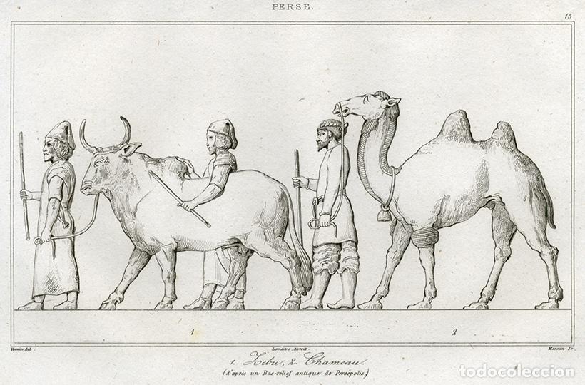 Arte: GRABADO AL ACERO DE 1841, CEB&Uacute; Y CAMELLO EN RELIEVES DE PERS&Eacute;POLIS, ANTIGUA PERSIA, IR&Aacute;N, LEMA&Icirc;TRE
