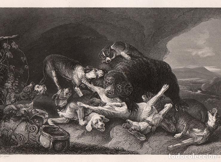 Arte: GRABADO AL ACERO DE 1849, LA CAZA DEL OSO, DE JAN FIJT. GRAB&Oacute; HEAWOOD. A. H. PAYNE, BOOK OF ART