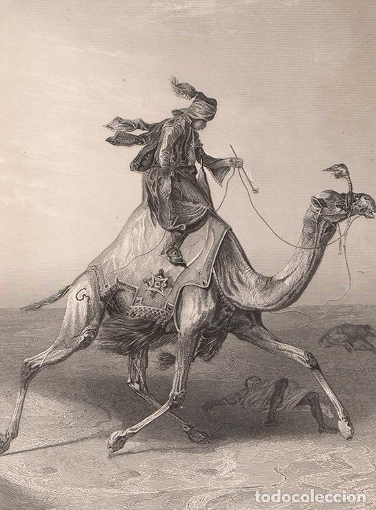Arte: GRABADO AL ACERO DE 1849, EL MENSAJERO DEL DESIERTO, DE JOHANN CHRISTOPH FRISCH. GRAB&Oacute; A. H. PAYNE