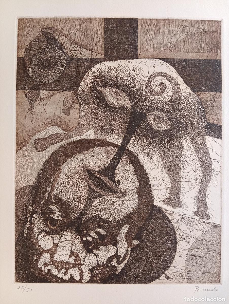 Arte: FRANCISCO PEINADO grabado - Foto 3