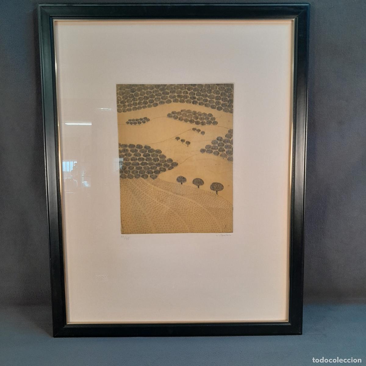 Arte: B-1962. PAISAJE DE CAMPOS Y OLIVOS. GRABADO POR CONCHA IB&Aacute;&Ntilde;EZ. SIGLO XX